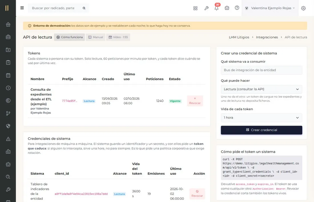 Pantalla del capítulo «Desde sus sistemas, sin pasar por Excel», con datos de ejemplo.